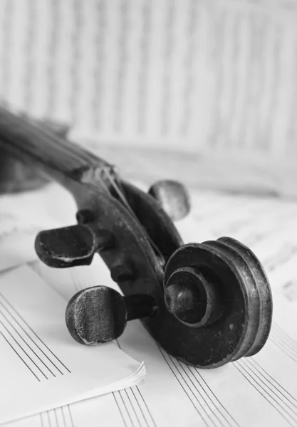 Bellissimo violino — Foto Stock