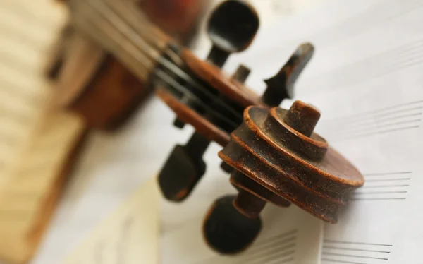 Bellissimo violino — Foto Stock