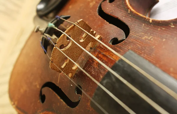 Красивая скрипка — стоковое фото