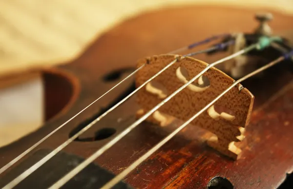 Красивая скрипка — стоковое фото