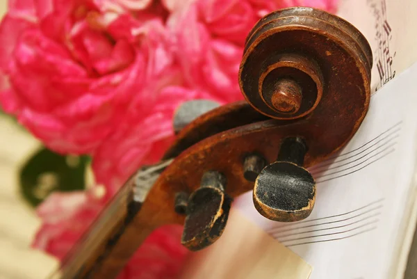 Beautiful violin — Stock Photo, Image