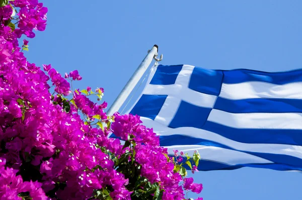 Greek flag in flowers — Stock Photo, Image