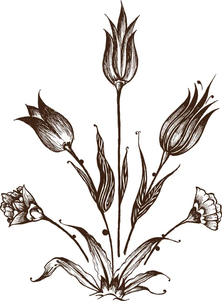 Fleurs dessinées à la main — Image vectorielle