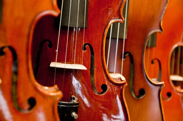 Violins, violas and cellos — Stock Photo, Image