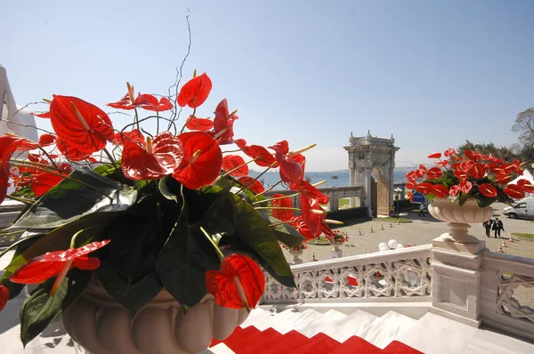 Ciragan Palace, Istanbul — Stock fotografie