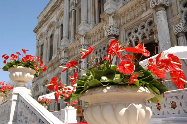 Ciragan Palace, Istanbul — Stock fotografie