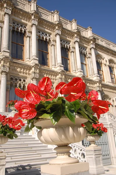 Ciragan Palace, Istanbul — Zdjęcie stockowe