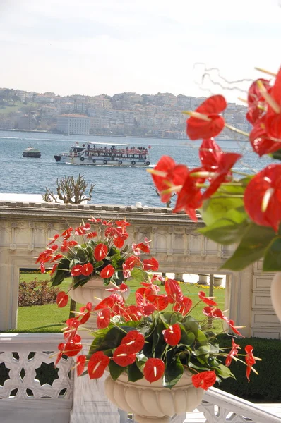 Palacio Ciragan, Estambul — Foto de Stock