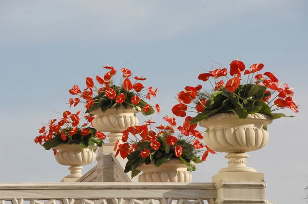 Ciragan Palace, Istanbul — Stock Photo, Image