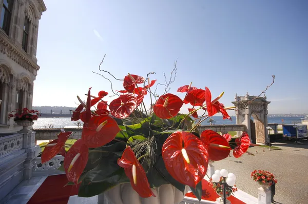 Ciragan Palace, Istanbul Stock Image