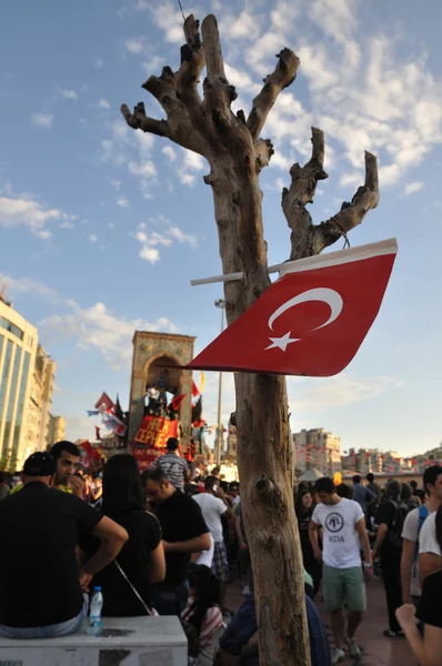 इस्तांबुल में गेज़ी पार्क का विरोध — स्टॉक फ़ोटो, इमेज