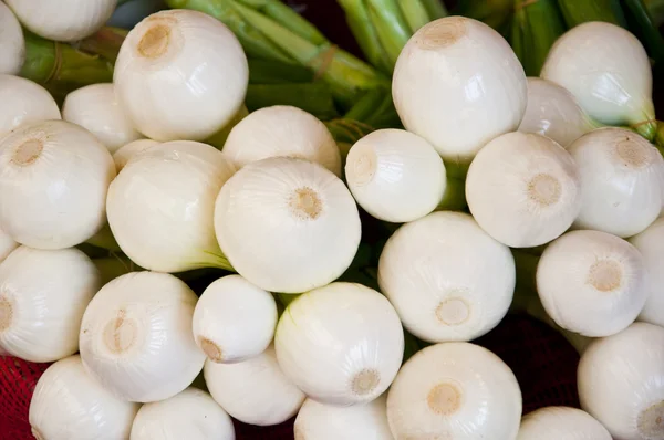 Cebollas blancas — Foto de Stock