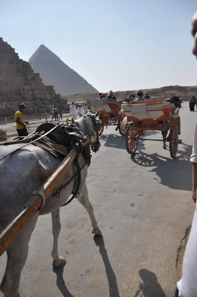 Egipto — Fotografia de Stock