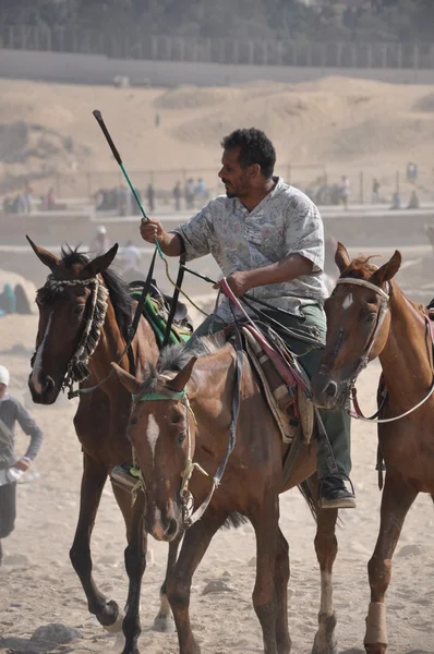 Egypt — Stock fotografie