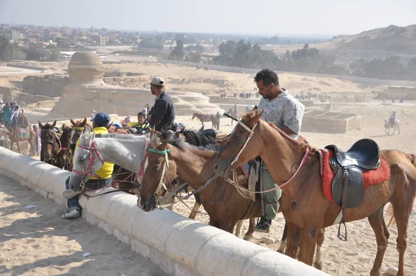 Ägypten — Stockfoto