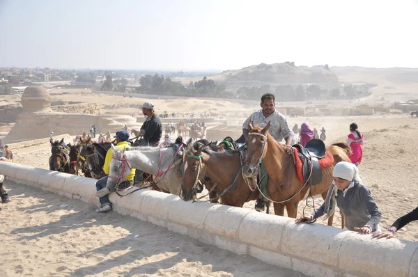 Ägypten — Stockfoto