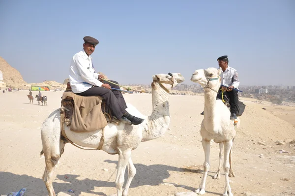 Pyramids of Giza, Cairo - EGYPT — Stock Photo, Image