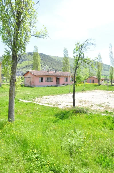 Burcun Dorf in der Nähe von Yenisehir Stadt, Bursa - Truthahn — Stockfoto