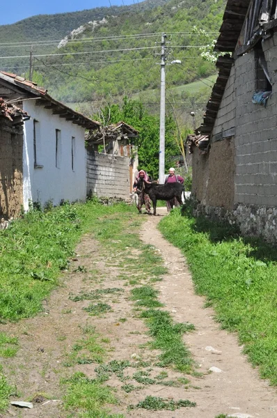 Burcun Dorf in der Nähe von Yenisehir Stadt, Bursa - Truthahn — Stockfoto