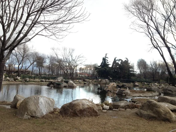 Paesaggio dello zoo di Bursa — Foto Stock