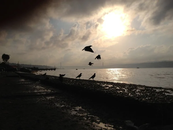 Günbatımı Panoraması — Stok fotoğraf