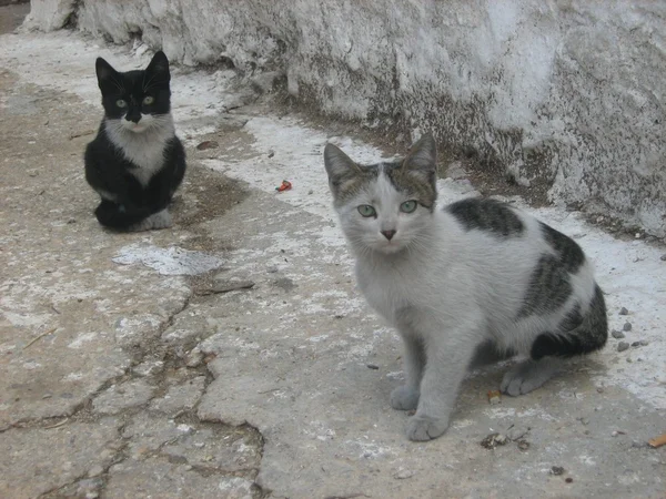 Mugla, la zona de la ciudad vieja - Aegean parte de Turquía —  Fotos de Stock