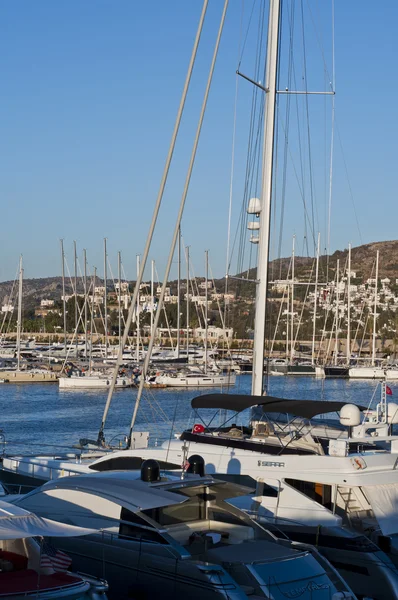 Denetleyen? kavak Palmarina, Bodrum - Türkiye — Stok fotoğraf