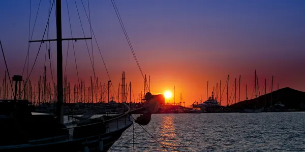 Denetleyen? kavak Palmarina, Bodrum - Türkiye — Stok fotoğraf