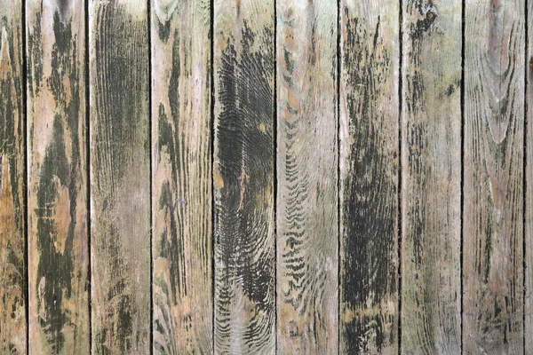 Green painted wooden panels background — Stock Photo, Image