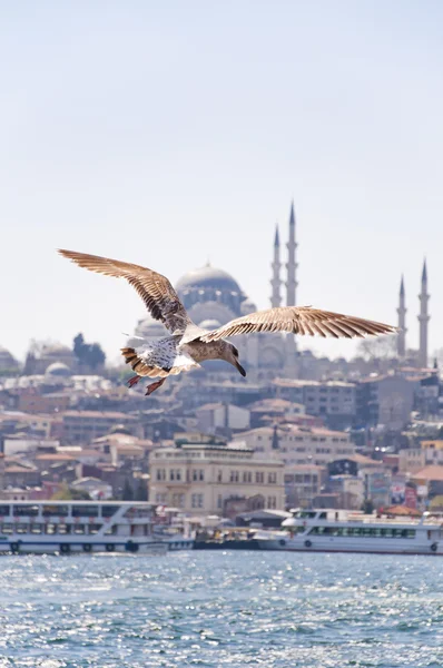 Istanbul — Stock fotografie