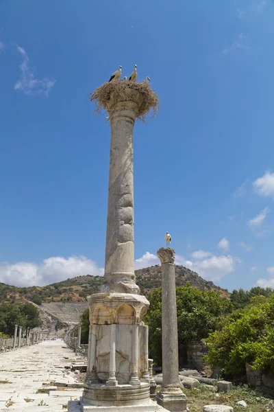 Antigua ciudad de Éfeso — Foto de Stock