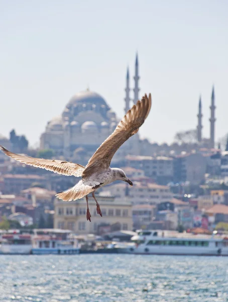 Estambul, Turquía — Foto de Stock