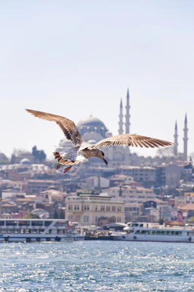 Estambul, Turquía — Foto de Stock