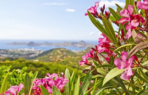 Bodrum, Turecko — Stock fotografie