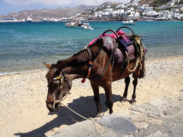 Van Mykonos — Stockfoto