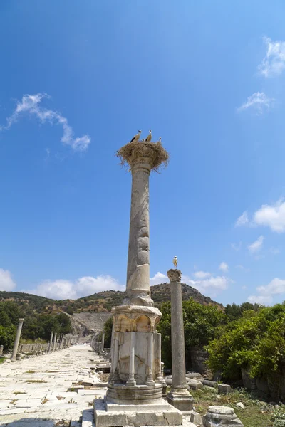 Antica città di Efeso, Smirne, Turchia — Foto Stock