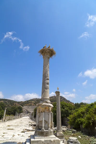 Efes (ephesus), Truthahn — Stockfoto