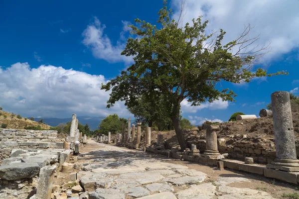 Antike Stadt von Ephesus, Izmir, Türkei — Stockfoto