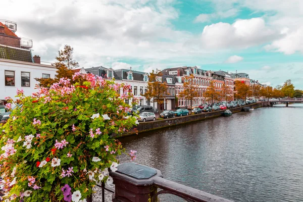 Canals Typical Dutch Architecture Haarlem Capital Province North Holland Also — Stock Photo, Image