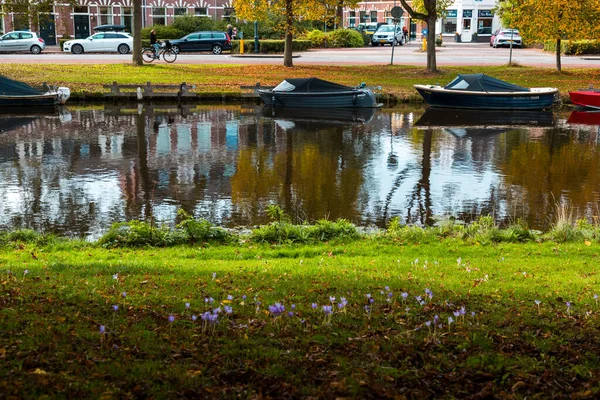 Amsterdam Oktober 2021 Schilderachtig Uitzicht Vanuit Kenaupark Een Stadspark Haarlem — Stockfoto