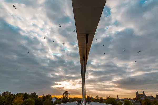 Hoge Brug Ponte Alta Maastricht Atravessando Rio Meuse Maas Uma — Fotografia de Stock