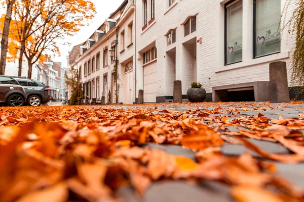 Maastricht Nizozemsko Října 2021 Pohled Ulici Podzim Maastrichtu Městě Limburgu — Stock fotografie