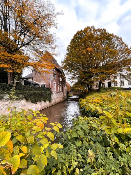 オランダ リンブルグ市のマーストリヒト市公園内にある伝統的なオランダ家屋や自然景観 — ストック写真