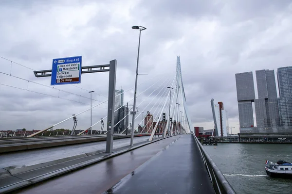 Roterdão Países Baixos Outubro 2021 Ponte Erasmus Sobre Rio Maas — Fotografia de Stock