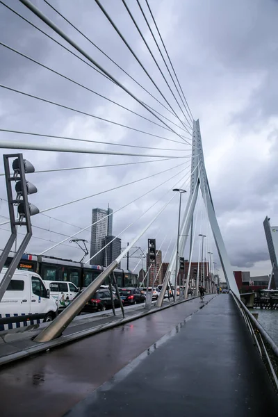 Rotterdam Paesi Bassi Ottobre 2021 Ponte Erasmus Maas Sul Fiume — Foto Stock