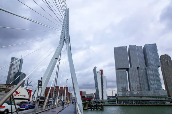 Rotterdam Holandia Października 2021 Most Erasmus Nad Rzeką Maas Lub — Zdjęcie stockowe