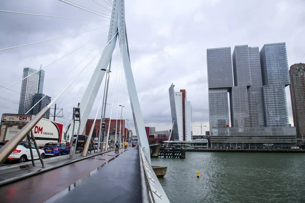 Roterdão Países Baixos Outubro 2021 Ponte Erasmus Sobre Rio Maas — Fotografia de Stock