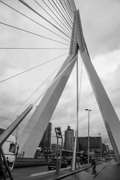 荷兰鹿特丹 2021年10月6日 荷兰第二大城市鹿特丹马阿斯河或默兹河上的Erasmus桥 — 图库照片