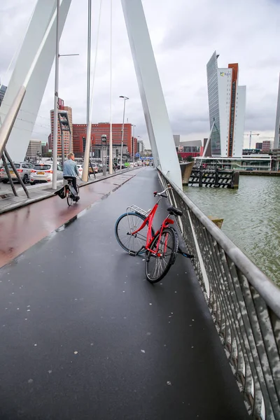 Ρόττερνταμ Κάτω Χώρες Οκτωβρίου 2021 Γέφυρα Erasmus Πάνω Από Τον — Φωτογραφία Αρχείου