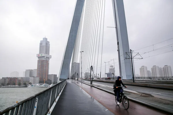 Rotterdam Holandia Października 2021 Most Erasmus Nad Rzeką Maas Lub — Zdjęcie stockowe